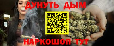 mdpv Краснознаменск