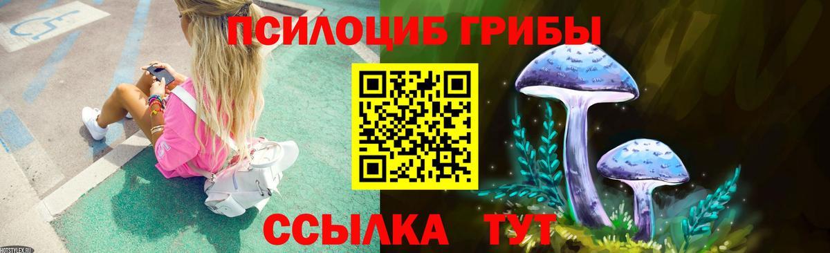 Псилоцибиновые грибы Magic Shrooms  где найти   Вход с VPN  Калининград  Галлюциногенные грибы GOLDEN TEACHER 